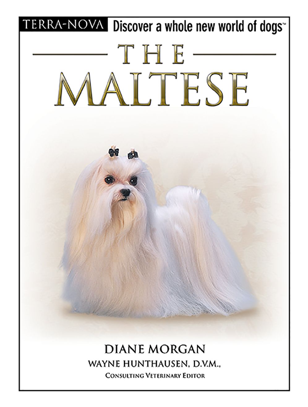 The Maltese: Discover a Whole New World of Dogs