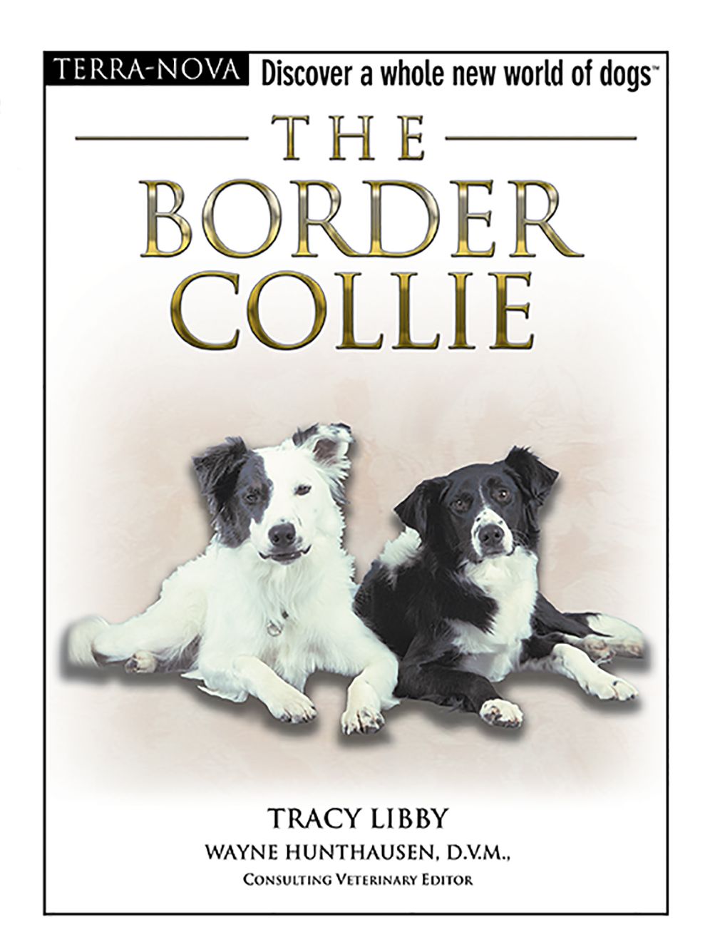 Border Collie (Terra Nova Dog Breed Series)
