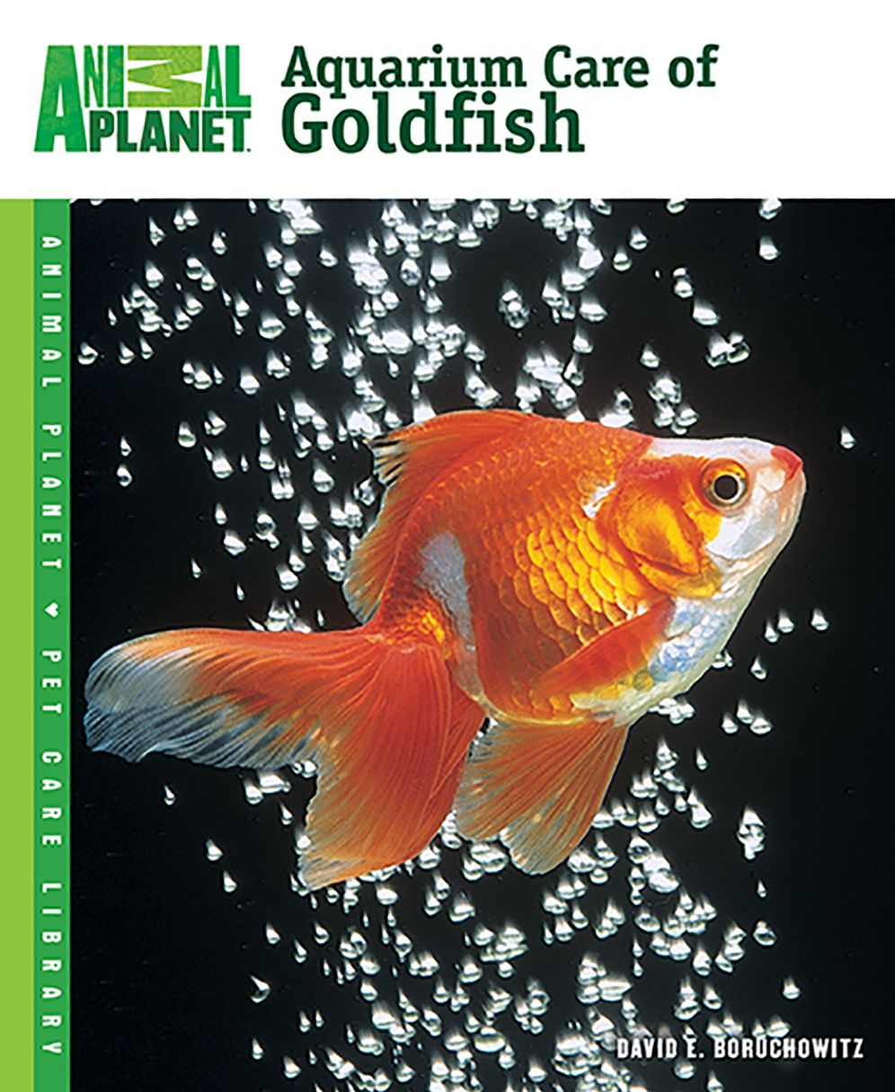 Aquarium Care of Goldfish