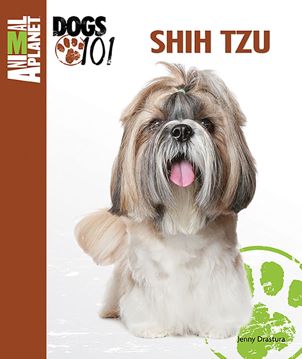 Shih Tzu