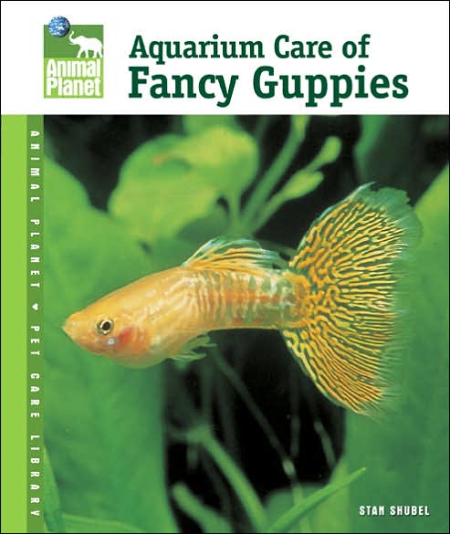 Aquarium Care of Fancy Guppies