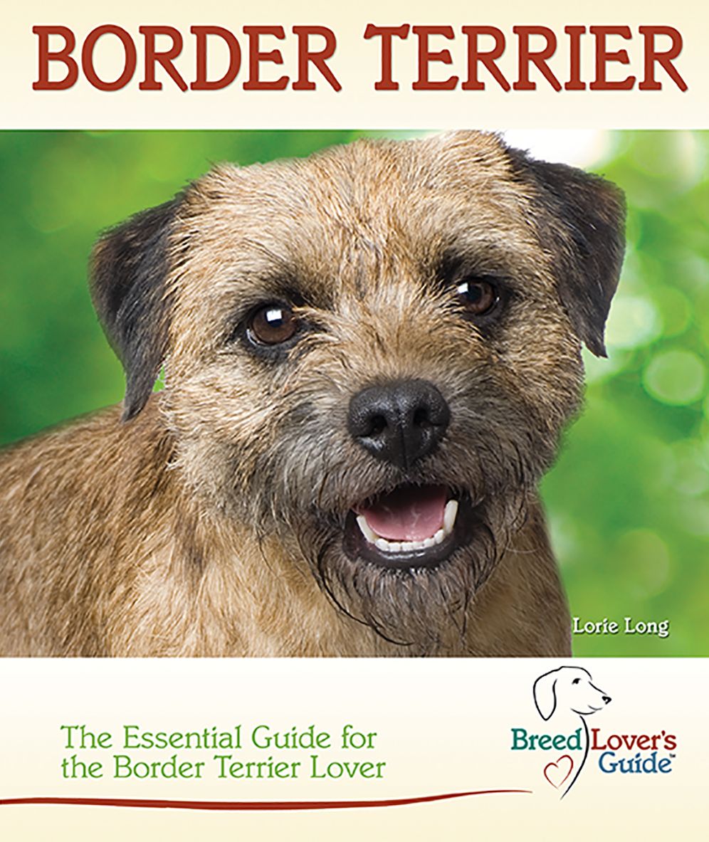 Border Terrier: Breed Lover's Guide