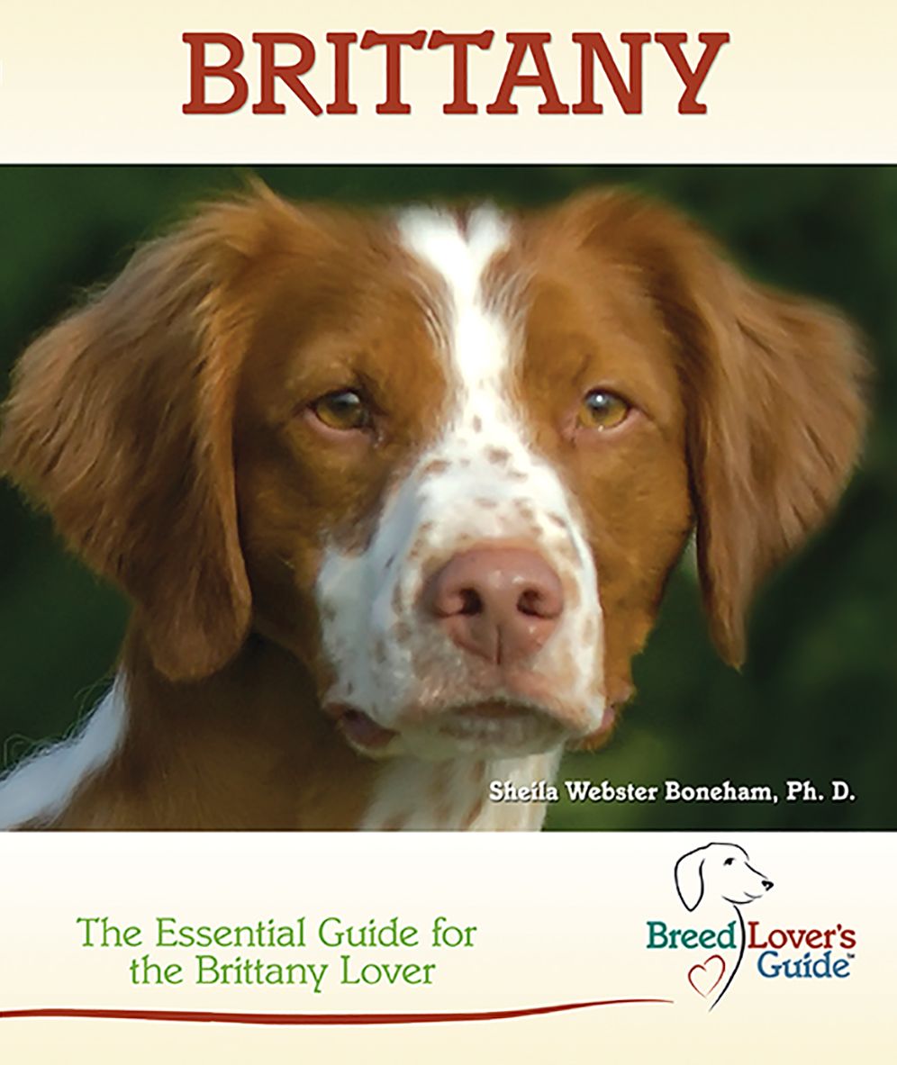 Brittany: Breed Lover's Guide