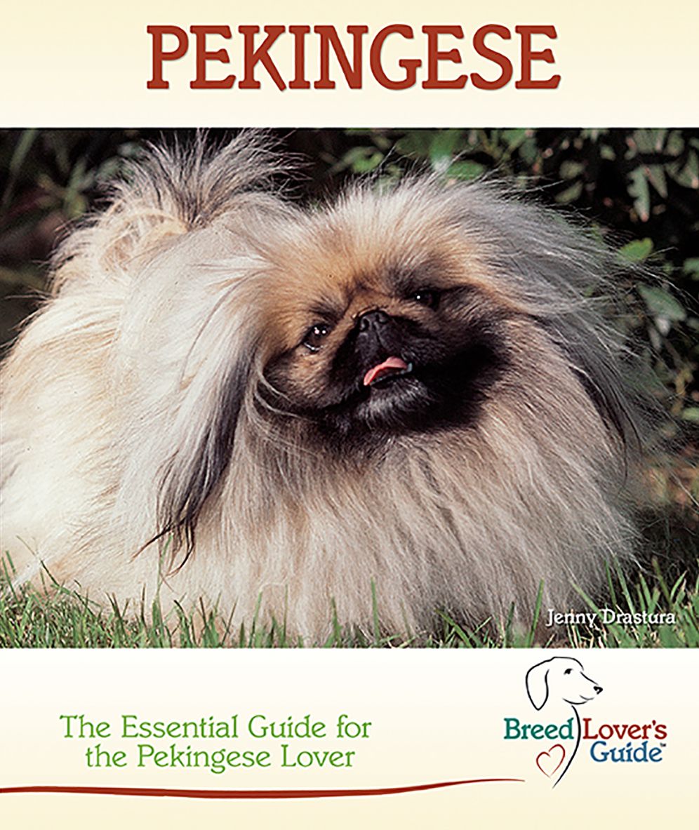 Pekingese