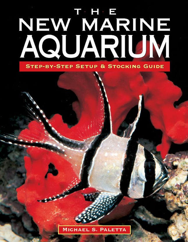The New Marine Aquarium: Step-By-Step Setup & Stocking Guide