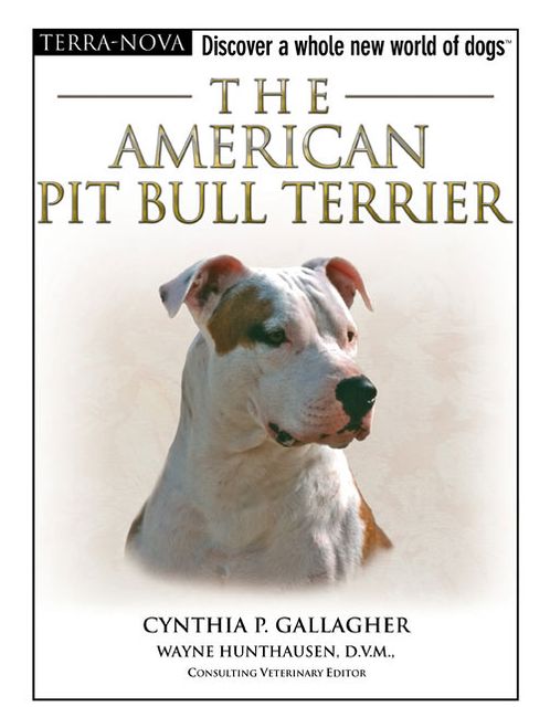 The American Pit Bull Terrier