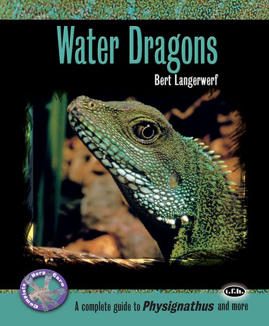 Water Dragons
