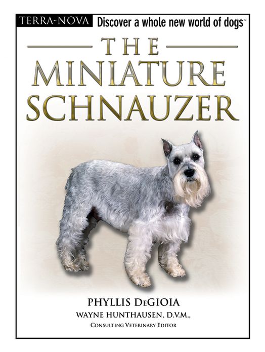 The Miniature Schnauzer