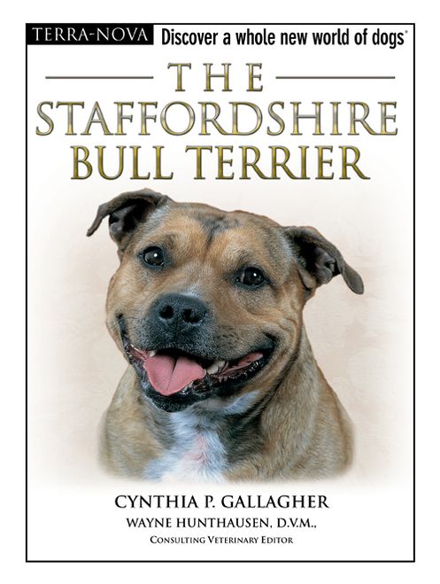 The Staffordshire Bull Terrier