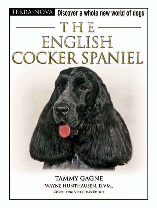 The English Cocker Spaniel
