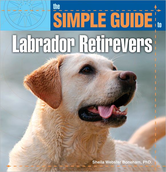 The Simple Guide to Labrador Retrievers