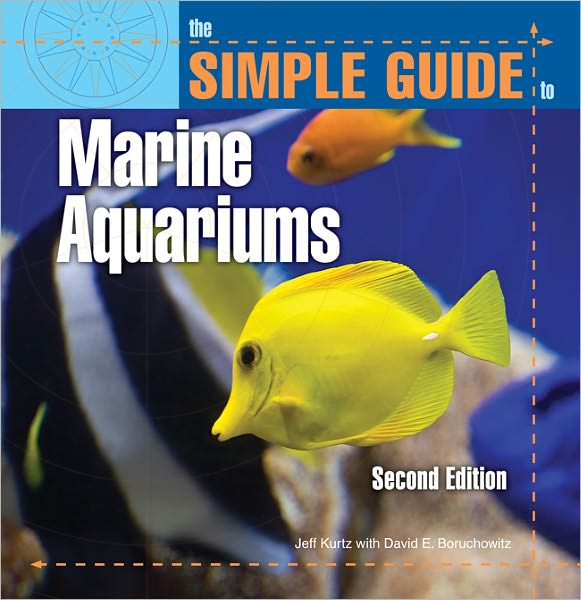 Simple Guide to Planted Aquariums