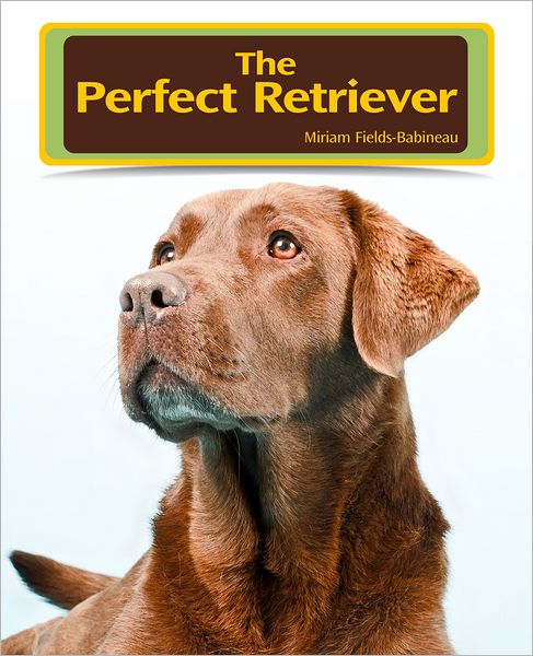 The Perfect Retriever