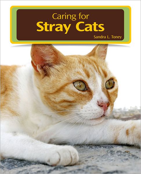 Caring for Stray Cats