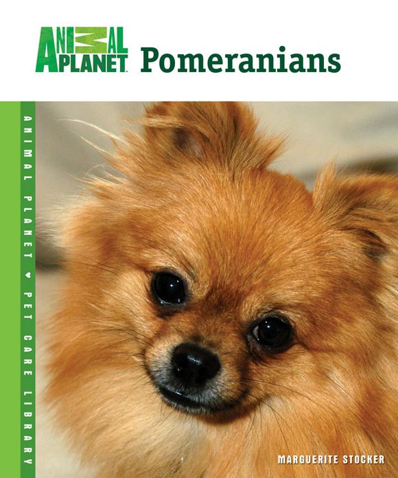 Pomeranians