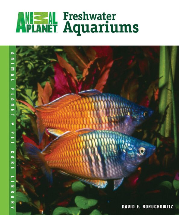 Freshwater Aquariums