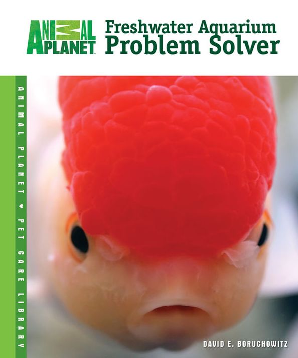 Your Freshwater Aquarium Problems Solved
