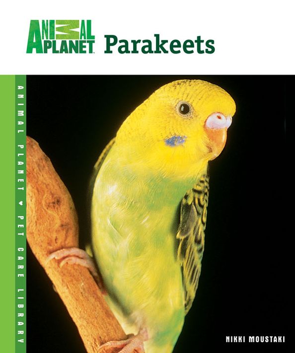 Parakeets