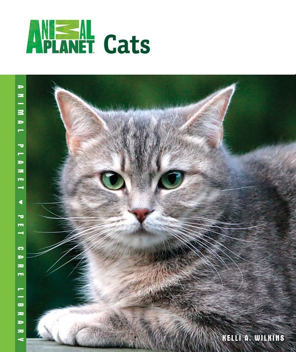 Cats