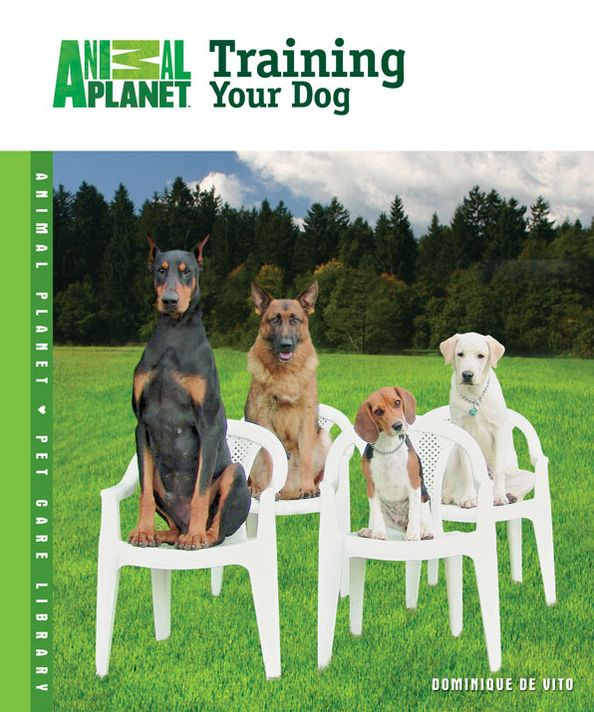 Training Your Dog