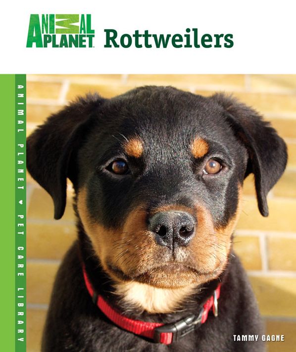 Rottweliers