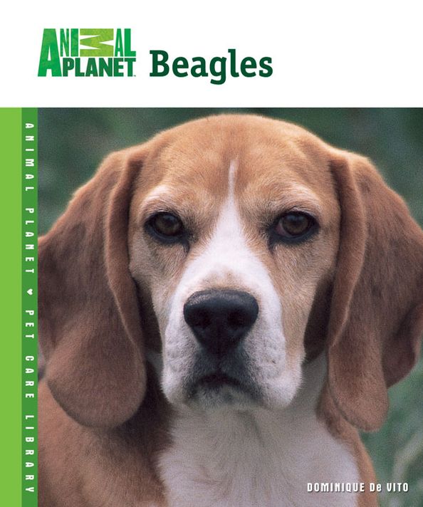 Beagles