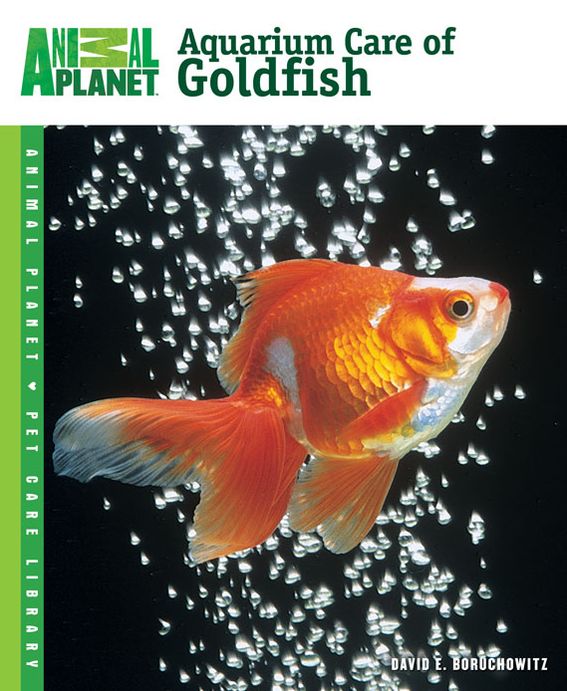 Aquarium Care of Goldfish