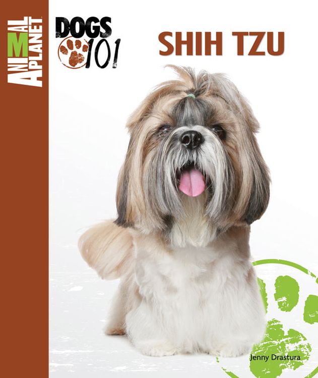Shih Tzu