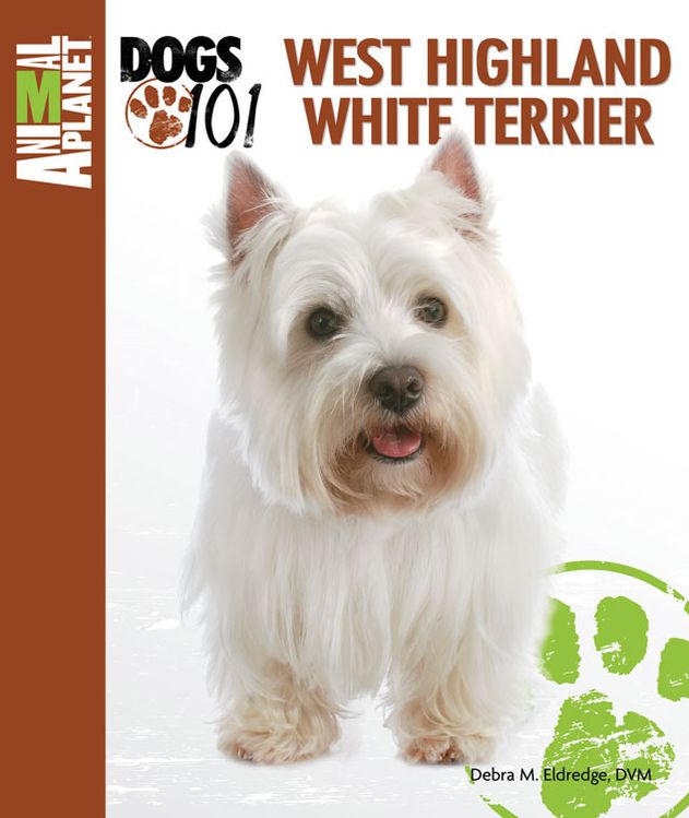 West Highland White Terrier