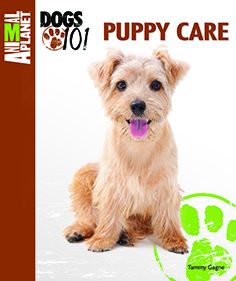 Puppy Care