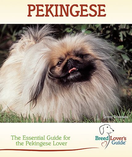 Pekingese: The Essential Guide for the Pekingese Lover