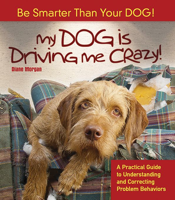 My Dog Is Driving Me Crazy!: A Practical Guide to Understanding and Correcting Problem Behaviors