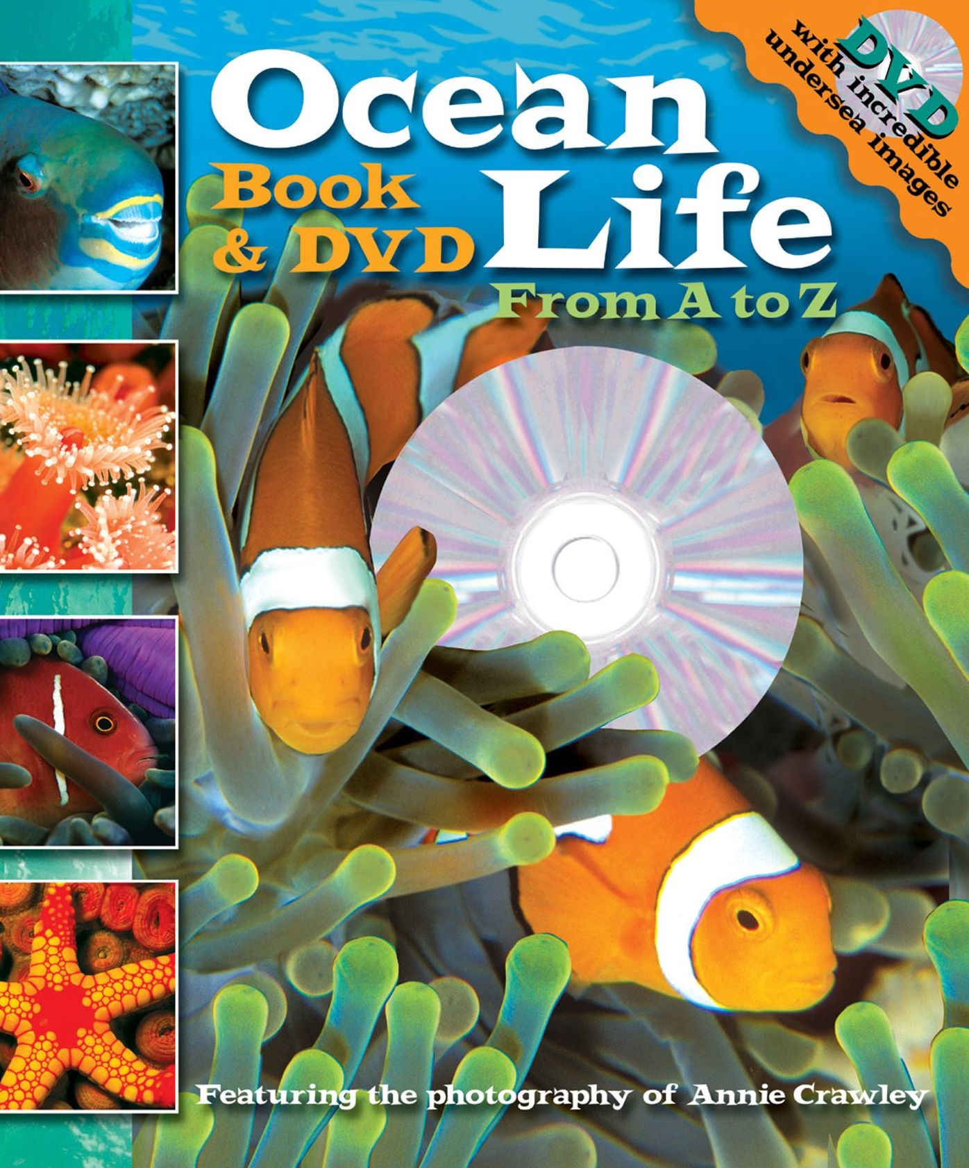Ocean Life Anemone to Zebra Fish Book & DVD