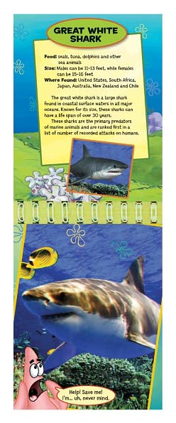 SpongeBob SquarePants Ocean 3D: Facts & 3D Pics