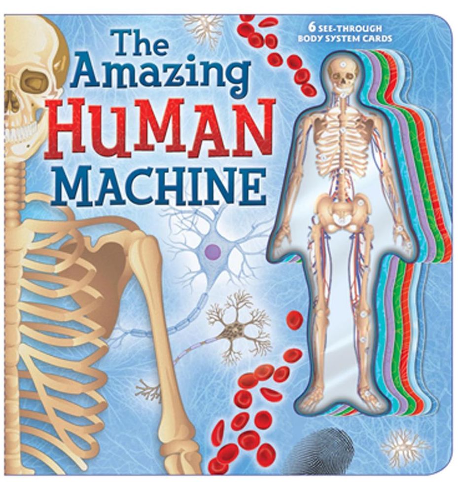 The Amazing Human Machine: Book with Acetate Body System Cards