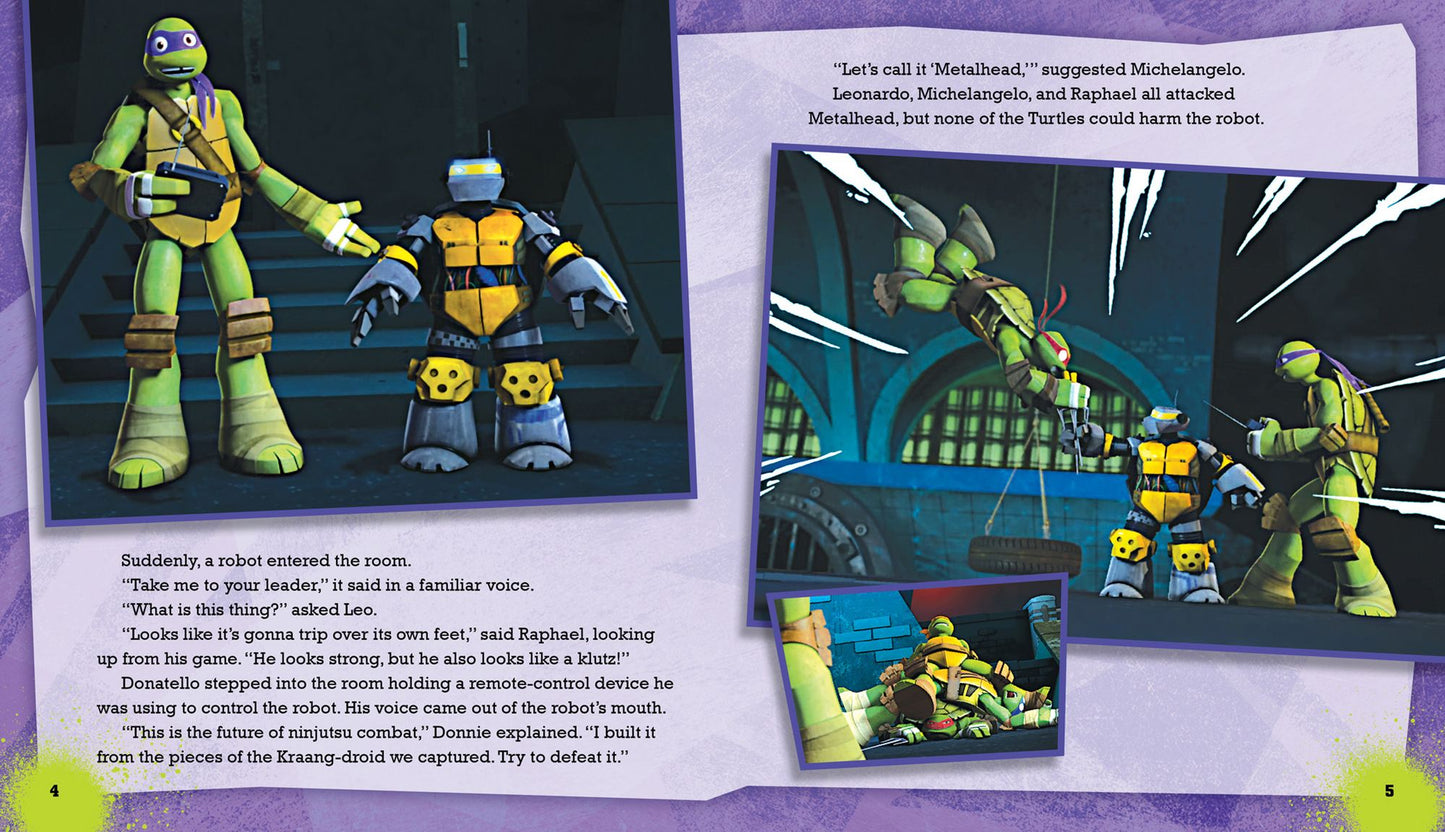 Teenage Mutant Ninja Turtles Masked Heroes: Book with Mask