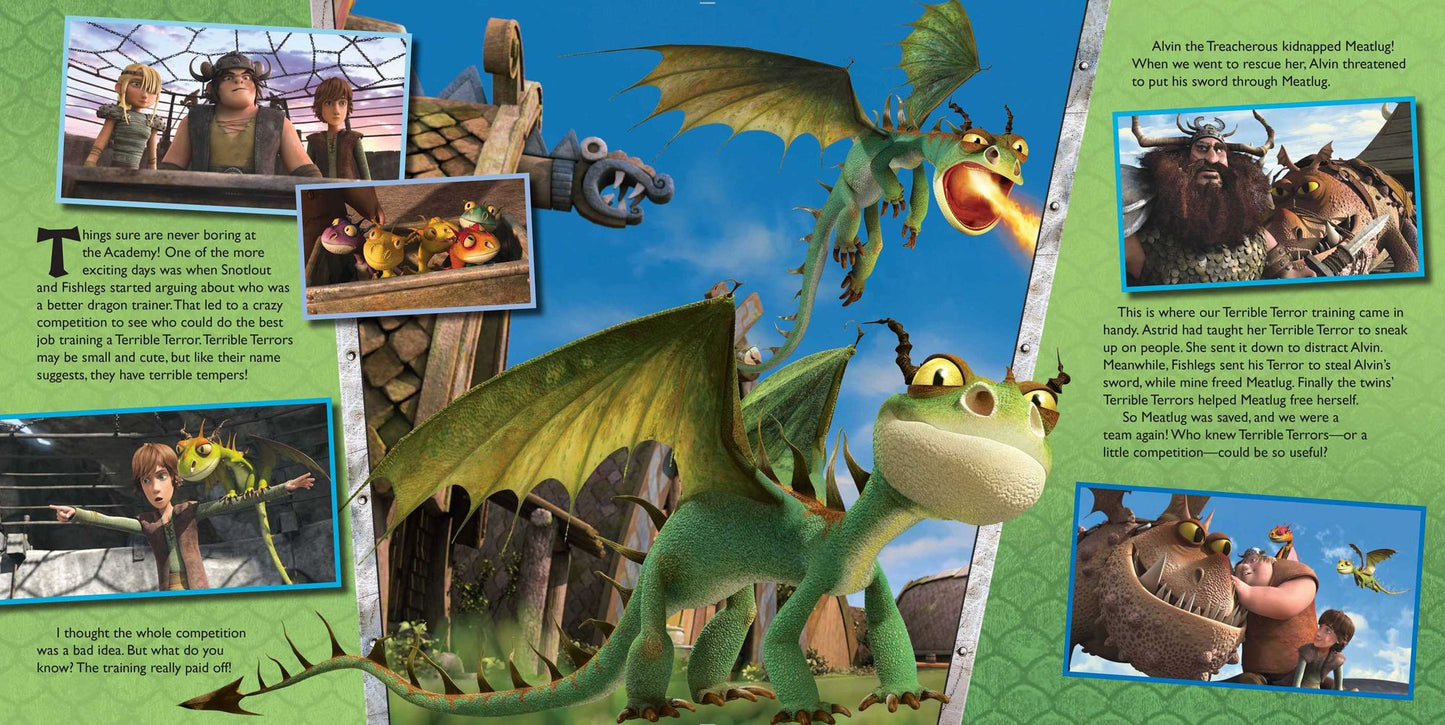 DreamWorks Defenders of Berk: Dragons in Flight Stretchbook
