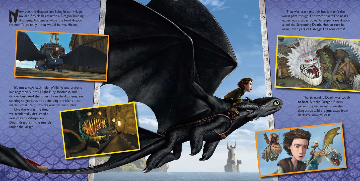 DreamWorks Defenders of Berk: Dragons in Flight Stretchbook