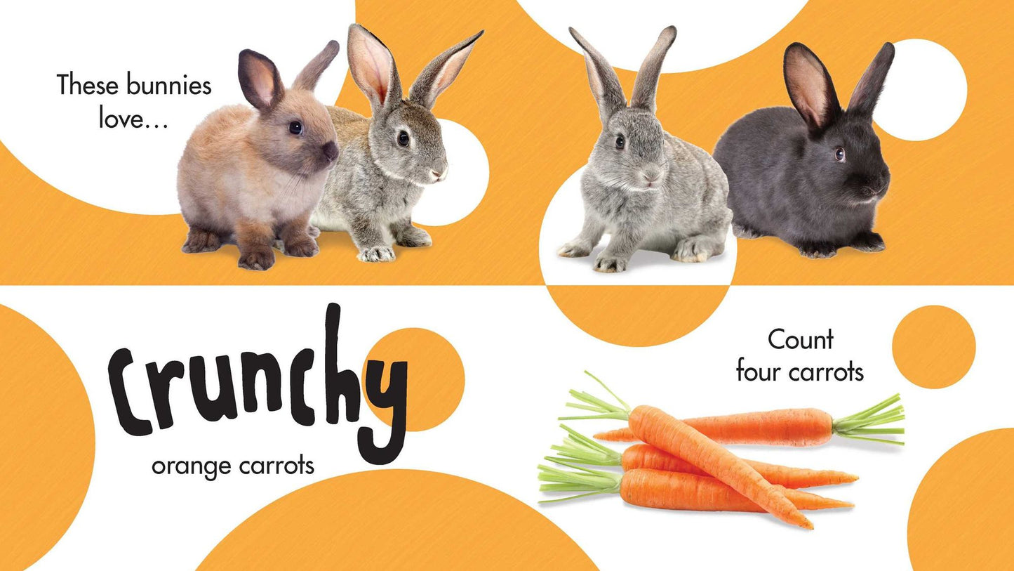 ASPCA kids: Mix & Match Pets: A Colors & Counting Book