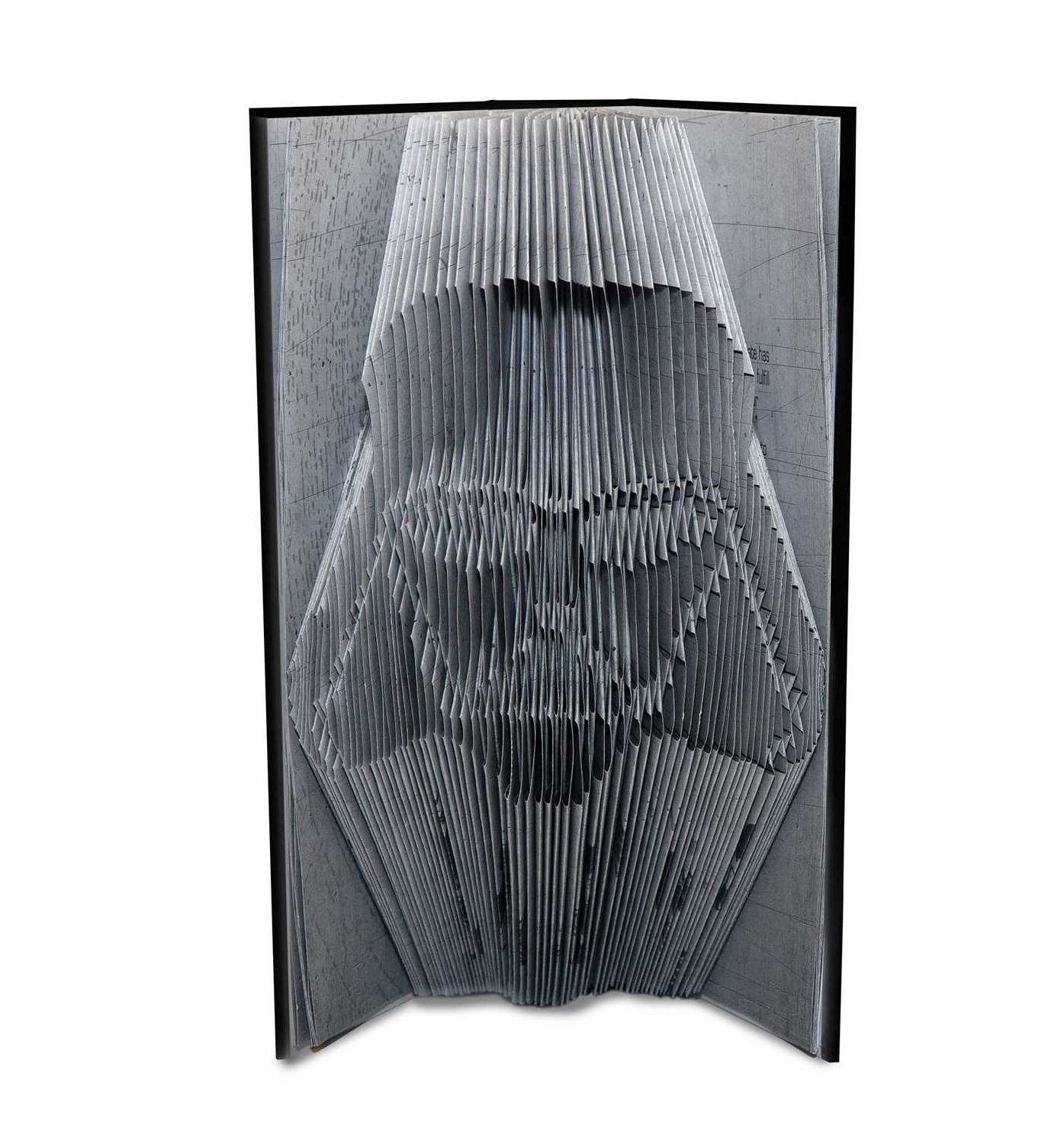 ArtFolds: Darth Vader: The Dark Lord
