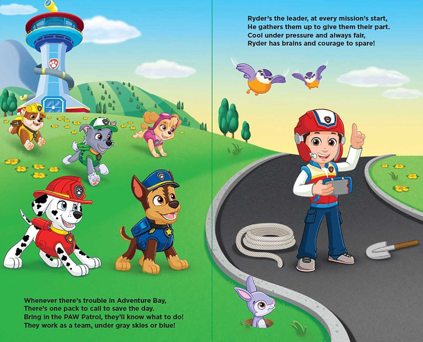 Paw Patrol: Pups on Patrol