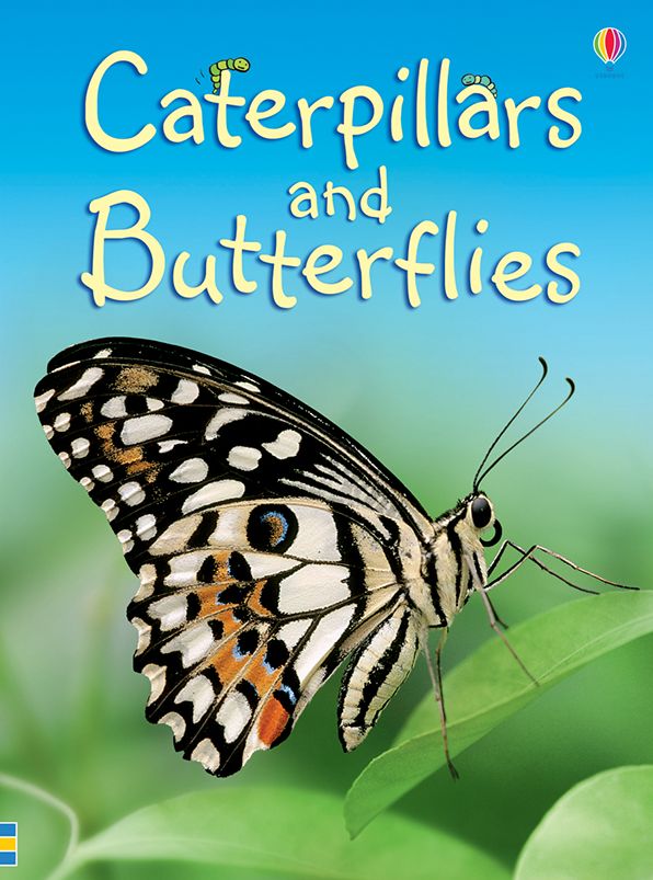 Caterpillars and Butterflies - Internet Referenced (Level 1)