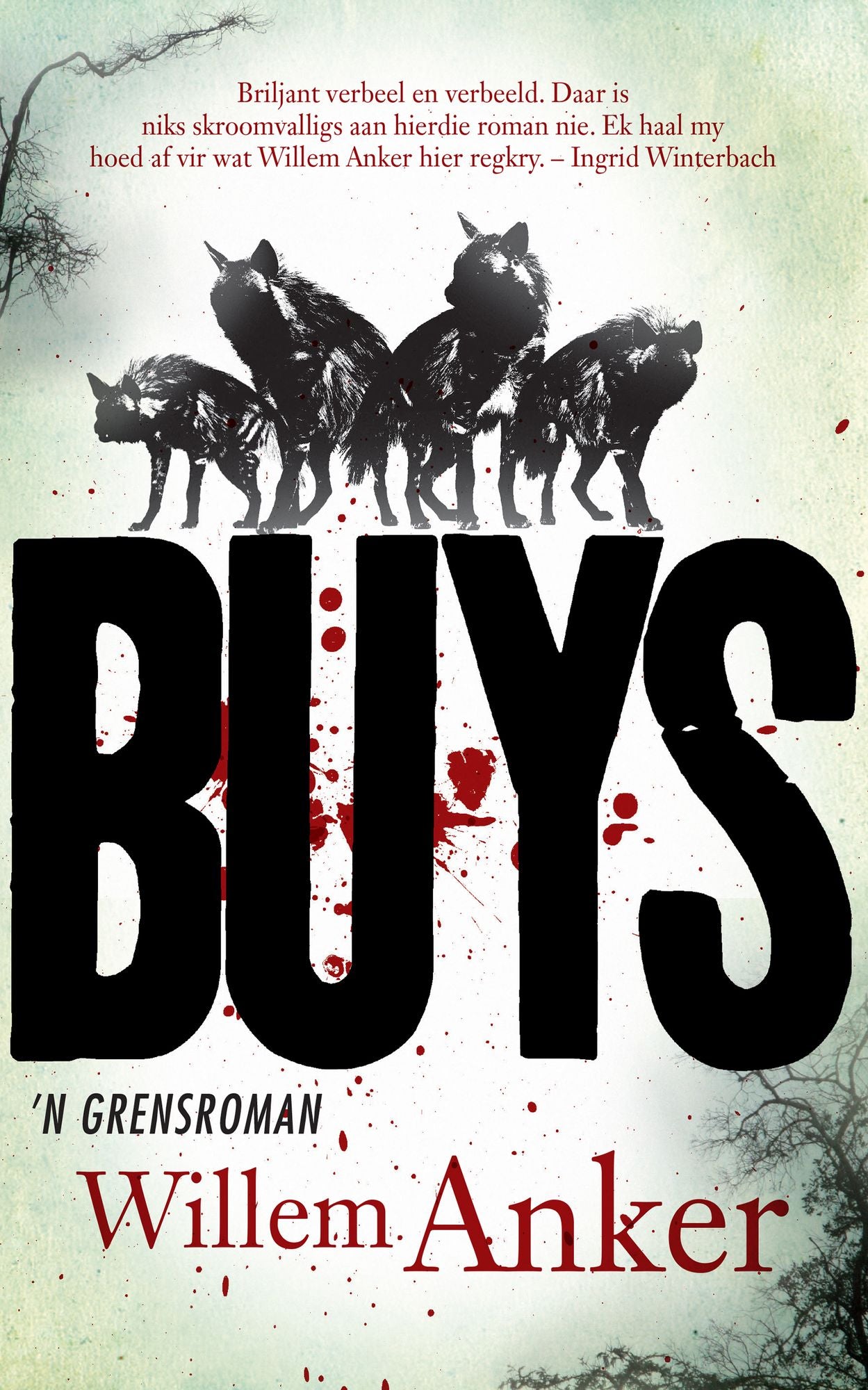Buys: 'n Grensroman