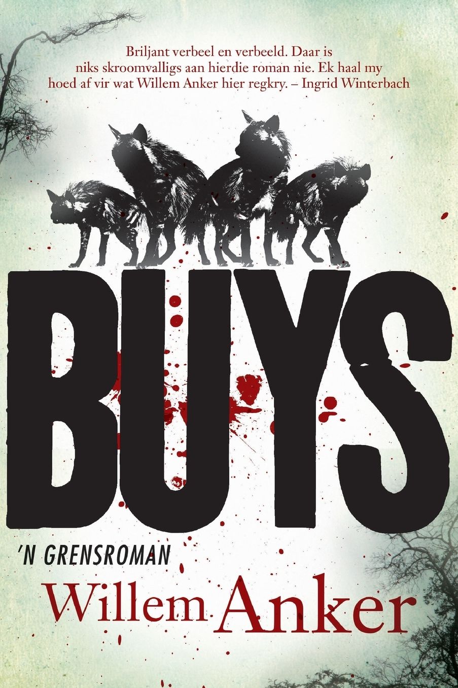 BUYS: 'n Grensroman