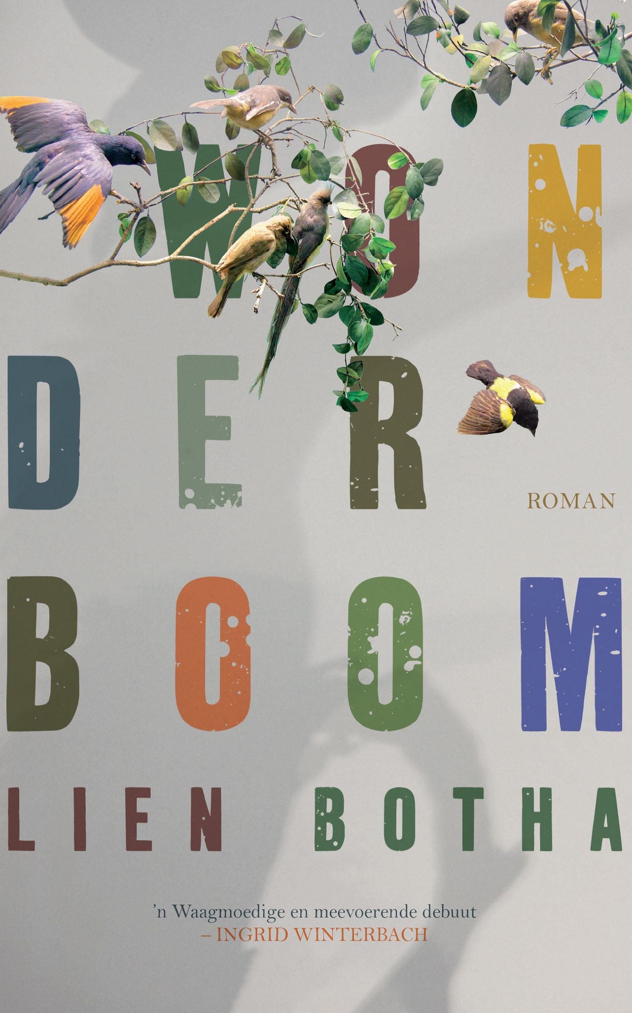 Wonderboom
