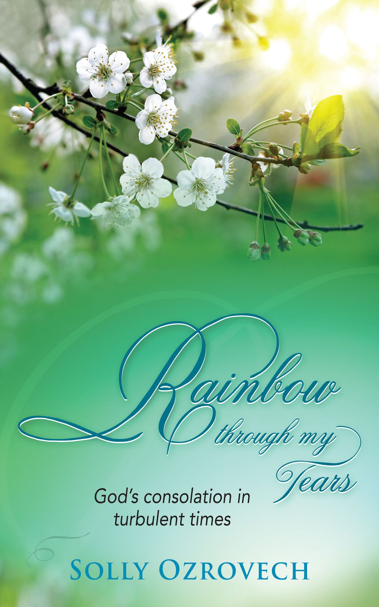 Rainbow through my tears: God's consolation in turbulent times