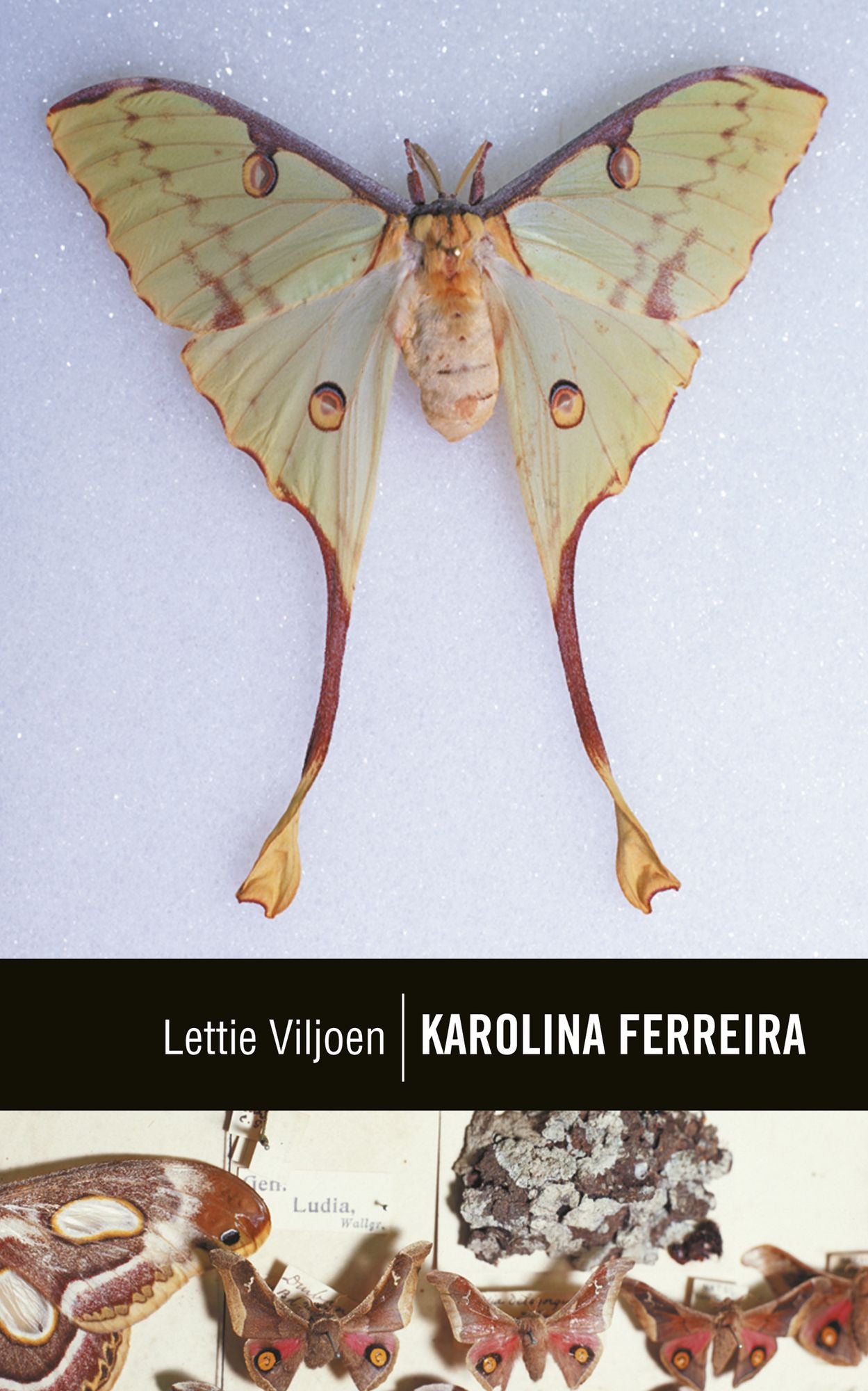 Klassiek reeks: Karolina Ferreira