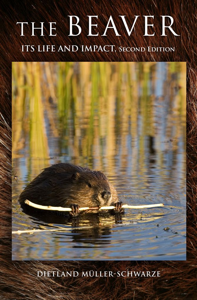 The Beaver: Its Life and Impact