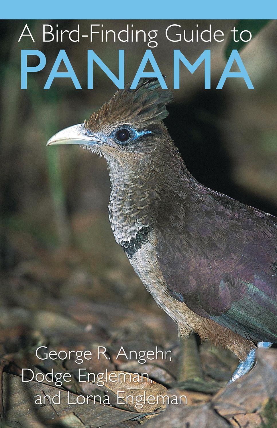 Bird-Finding Guide to Panama
