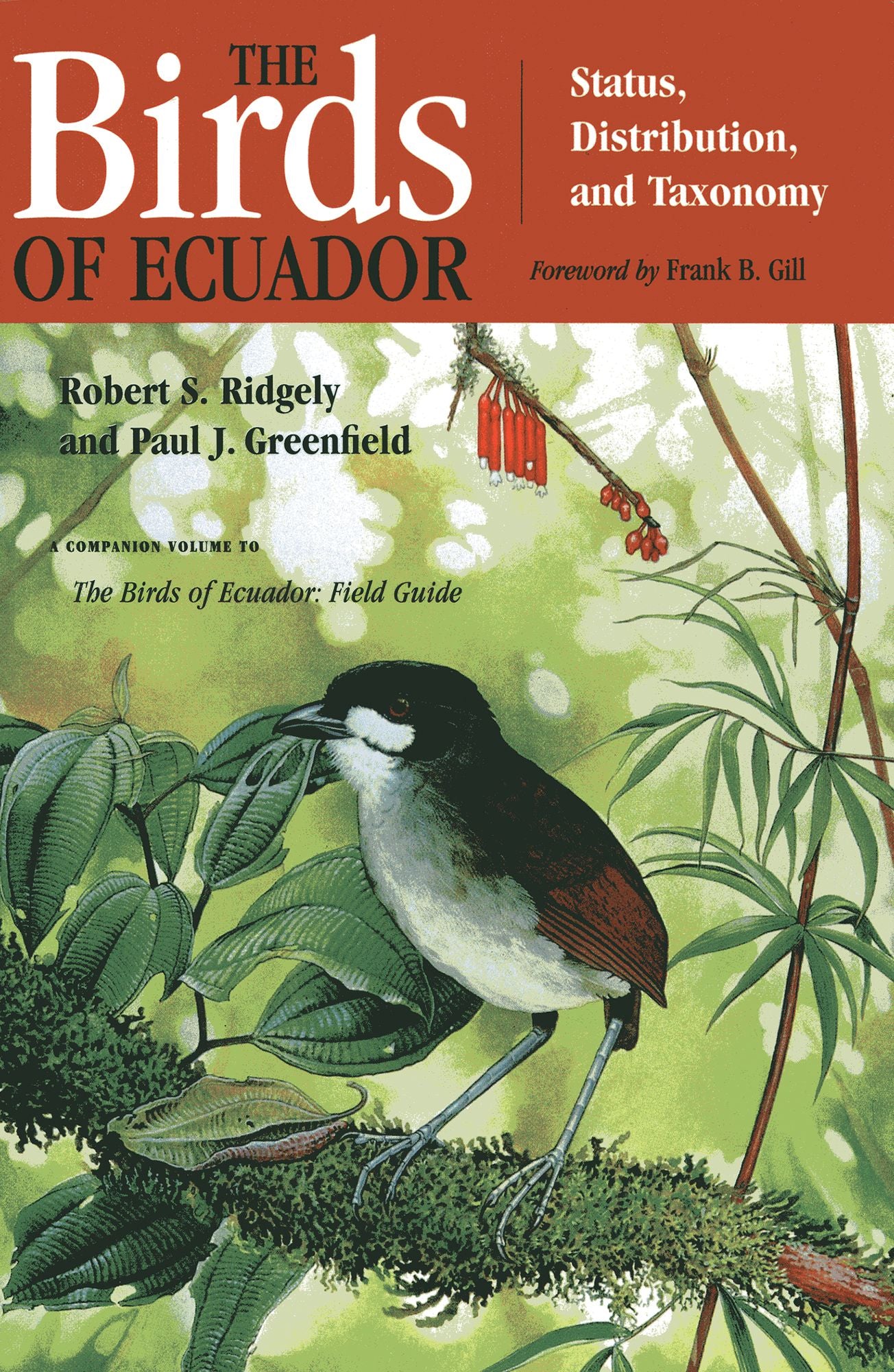 The Birds of Ecuador: Field Guide,Volume II